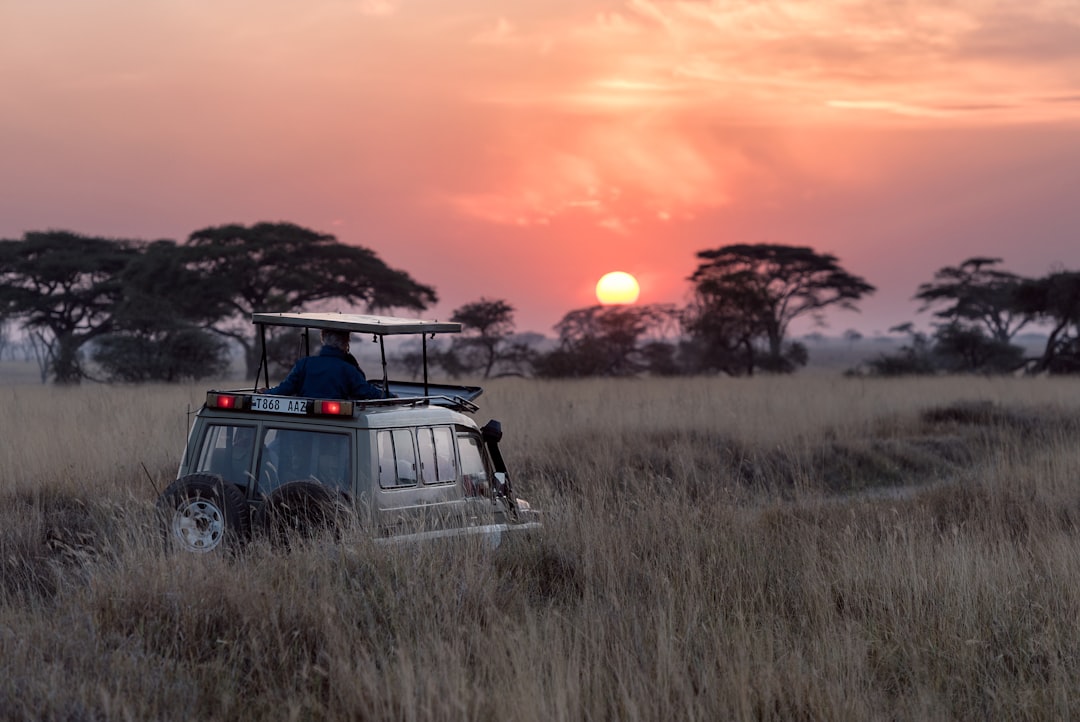 découvrez l'aventure ultime avec notre safari inoubliable. explorez la faune sauvage, admirez des paysages à couper le souffle et vivez des moments uniques au cœur de la nature. partez à la rencontre des grands animaux et créez des souvenirs mémorables dans des destinations emblématiques.