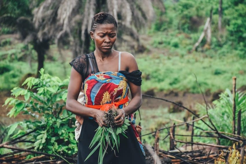 découvrez l'artisanat local : des créations uniques façonnées avec passion et savoir-faire. explorez des pièces authentiques et soutenez les artisans de votre région.