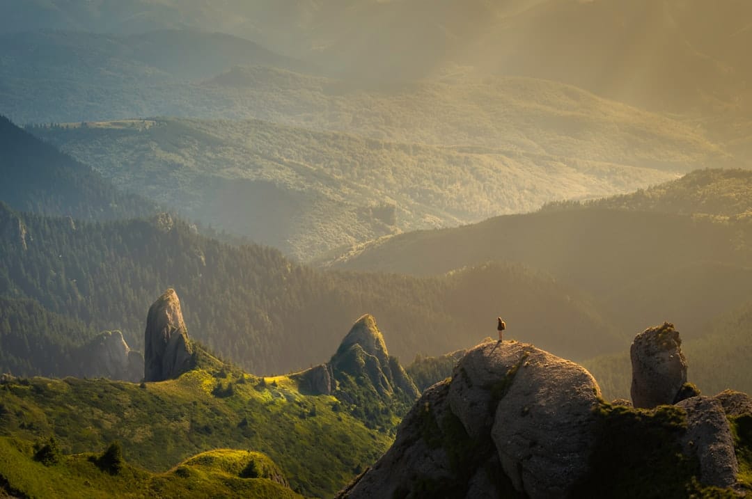 découvrez la beauté et la diversité de la nature à travers nos articles sur les écosystèmes, la faune, la flore et les paysages. plongez dans un monde sauvage où chaque élément joue un rôle essentiel pour la planète.