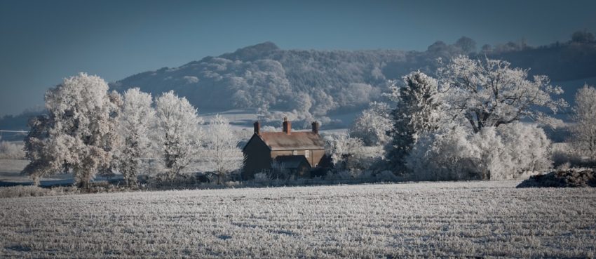 découvrez la beauté des paysages bucoliques avec notre guide sur la campagne. échappez au tumulte de la ville et plongez dans l'authenticité des villages, la richesse des traditions agricoles et la sérénité des champs verdoyants.